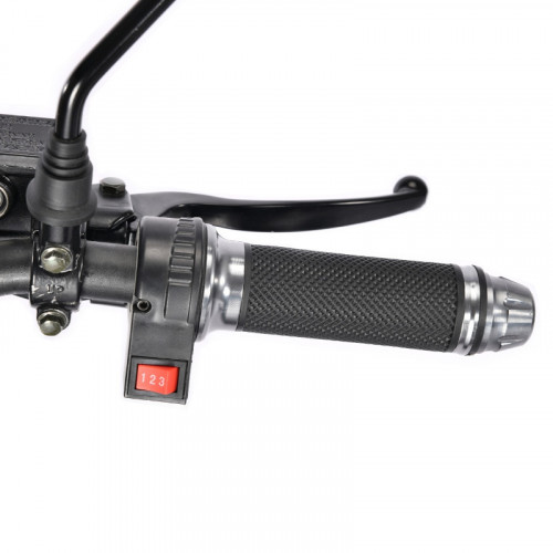 Электроскутер White Siberia TRIKE MINI 1500W в Тюмени