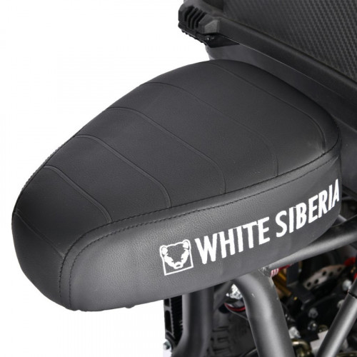 Электроскутер White Siberia TRIKE MINI 1500W в Тюмени