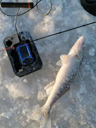 Эхолот Практик 8 в Тюмени