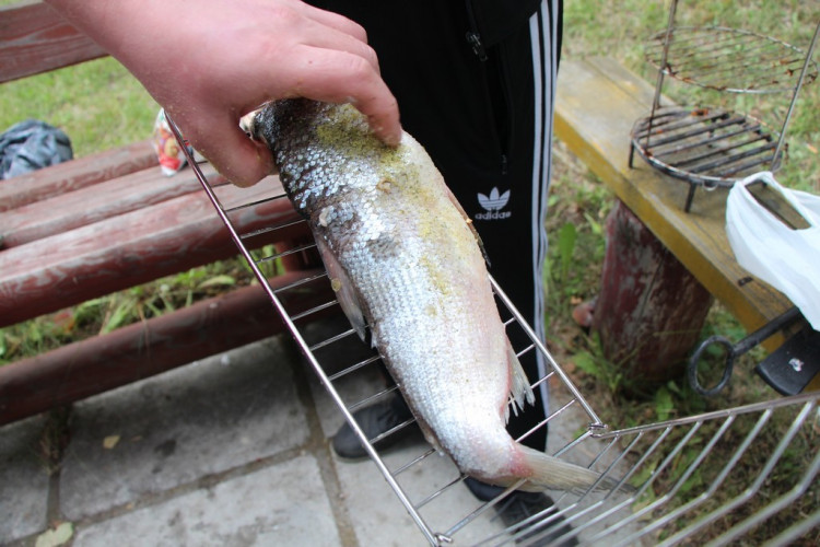 Решетка для рыбы в Тюмени