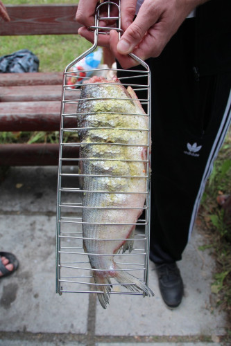 Решетка для рыбы в Тюмени