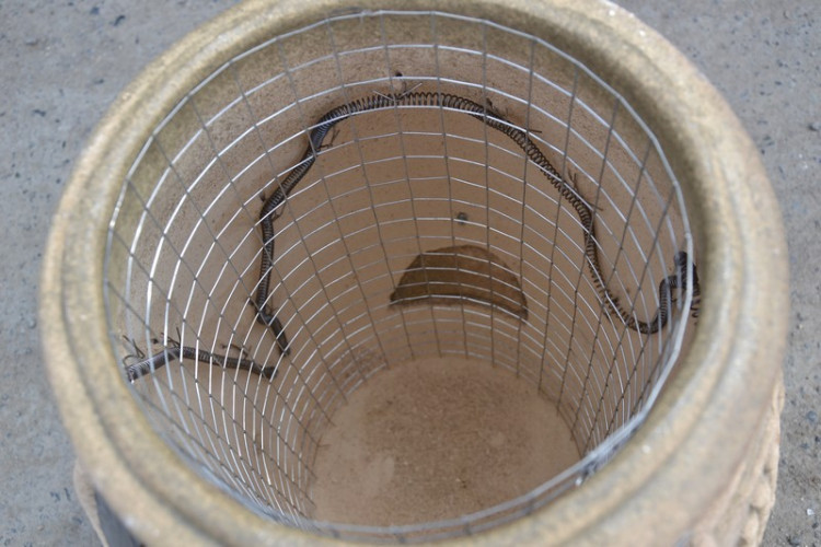 Тандыр Электрический Малый в Тюмени