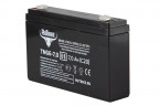 Тяговый гелевый аккумулятор RuTrike TNG 6-7.0 (6V7.0 A/H C20) в Тюмени