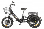 Электрофэтбайк Eltreco Green City e-ALFA Trike в Тюмени