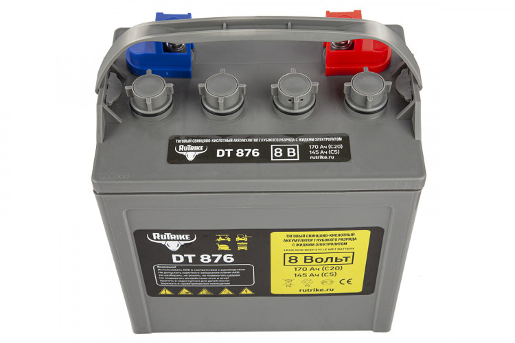 Тяговый аккумулятор RuTrike WET DT876 (T-875) 8V120A/H C3 в Тюмени