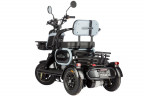 Электротрицикл Wanshida UN MOTO в Тюмени