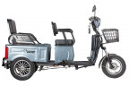 Пассажирский электротрицикл Rutrike Gelbert Tuban в Тюмени