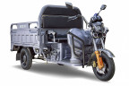 Грузовой электрический трицикл RuTrike Гибрид 1500 в Тюмени